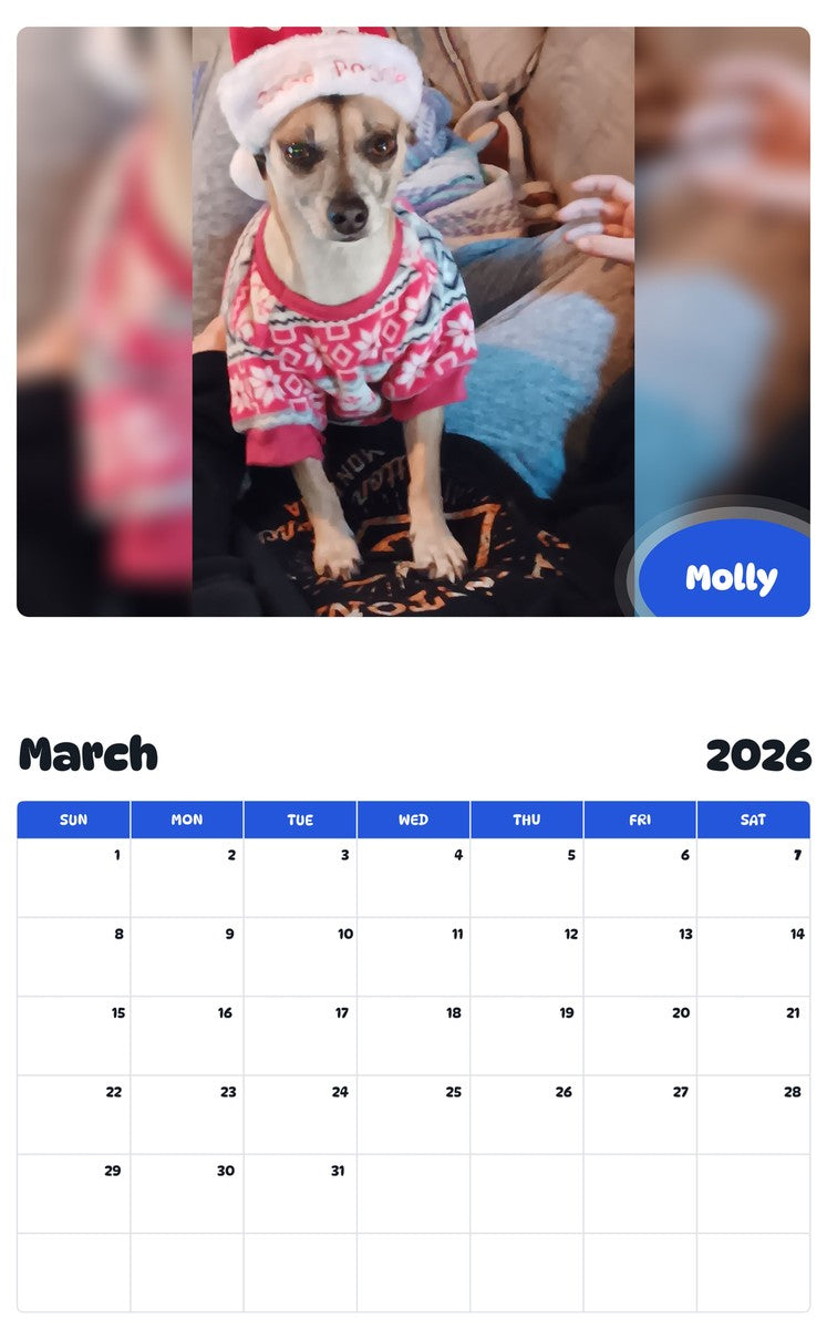 November 2025 - October 2026 Molly - Pawidols Pet Calendar