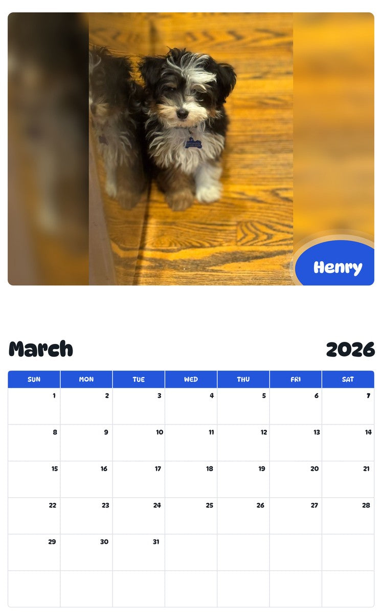 November 2025 - October 2026 Henry - Pawidols Pet Calendar