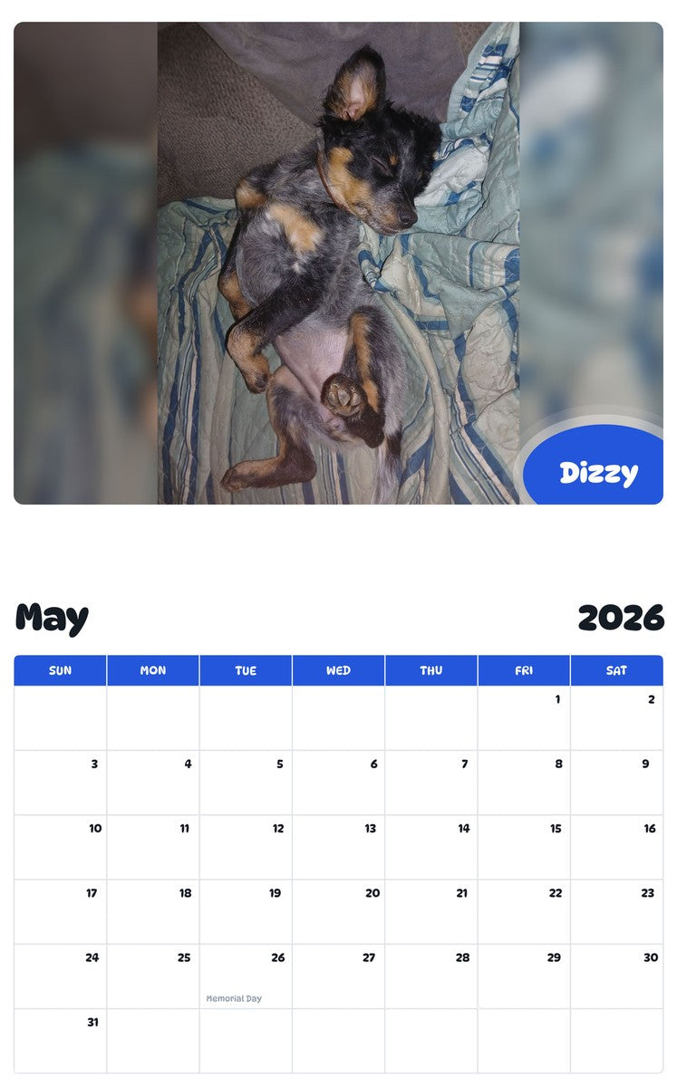 2026 - 2027 Dizzy - Pawidols Pet Calendar