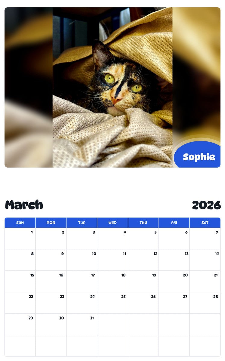 November 2025 - October 2026 Sophie - Pawidols Pet Calendar