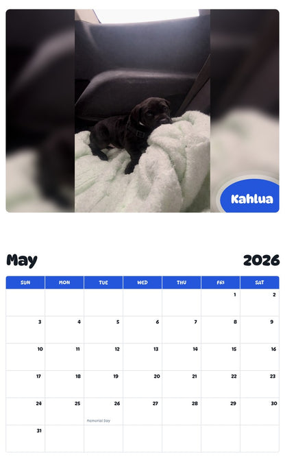 2026 - 2027 Kahlua - Pawidols Pet Calendar