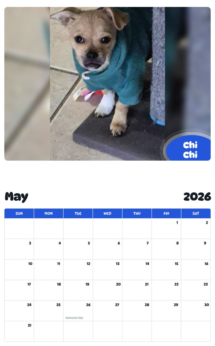 2026 - 2027 Chi Chi - Pawidols Pet Calendar