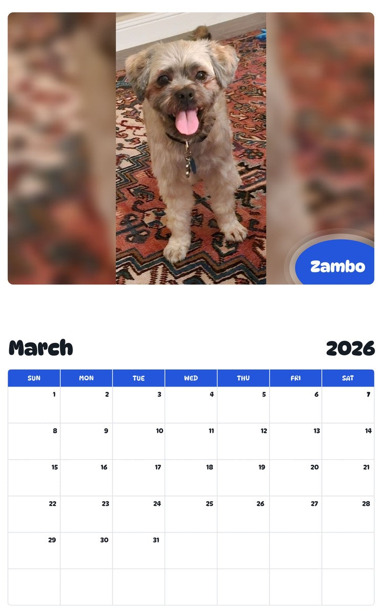 November 2025 - October 2026 Zambo - Pawidols Pet Calendar