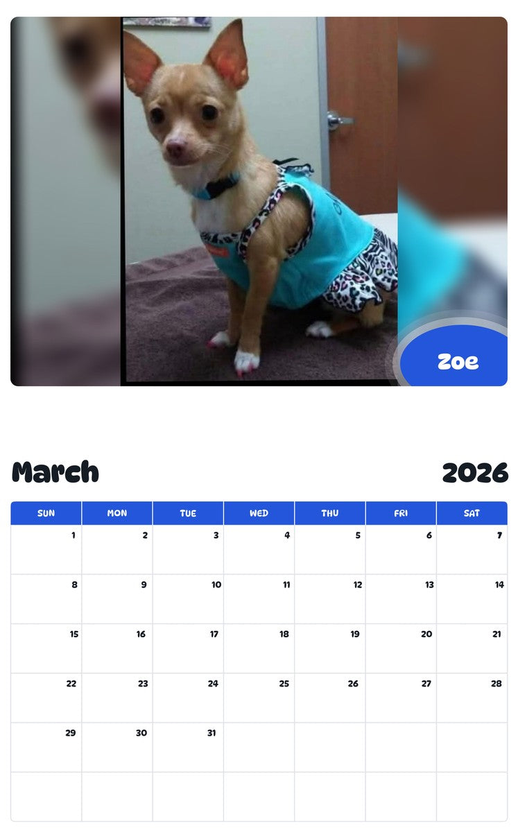 November 2025 - October 2026 Zoe - Pawidols Pet Calendar