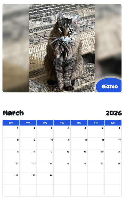 November 2025 - October 2026 Gizmo - Pawidols Pet Calendar