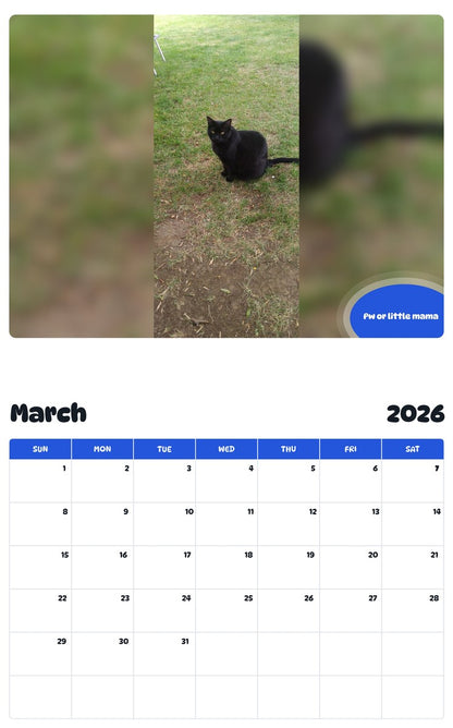 November 2025 - October 2026 Pw or little mama - Pawidols Pet Calendar