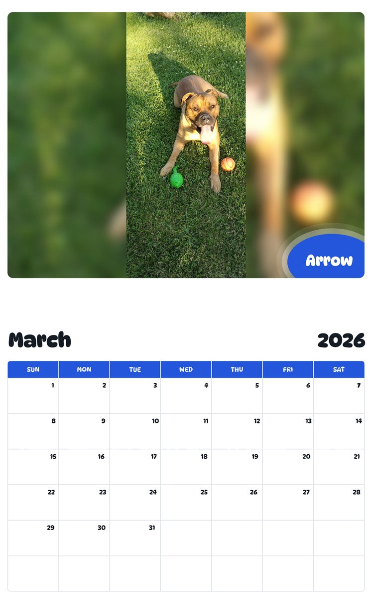 November 2025 - October 2026 Arrow - Pawidols Pet Calendar