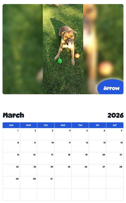 November 2025 - October 2026 Arrow - Pawidols Pet Calendar