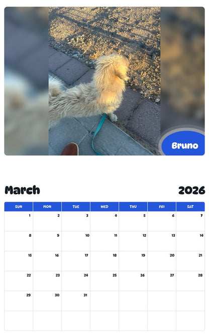 November 2025 - October 2026 Bruno - Pawidols Pet Calendar