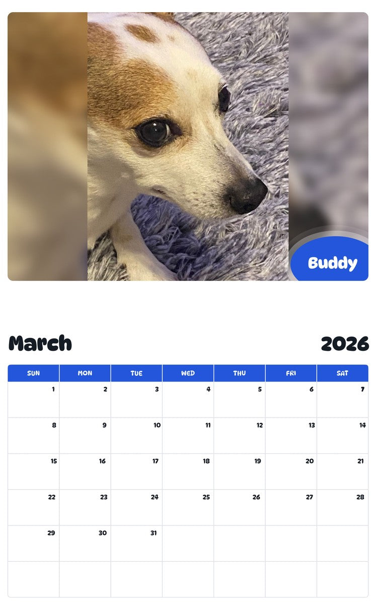 November 2025 - October 2026 Buddy - Pawidols Pet Calendar