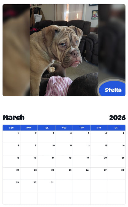 November 2025 - October 2026 Stella - Pawidols Pet Calendar