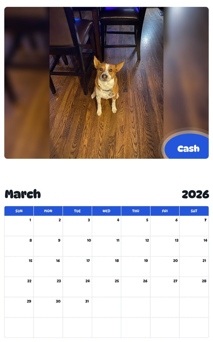 November 2025 - October 2026 Cash - Pawidols Pet Calendar