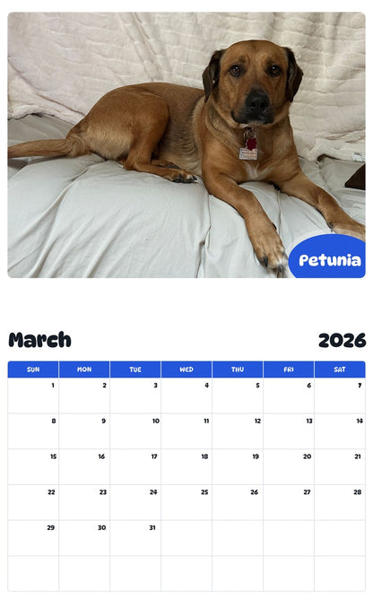 November 2025 - October 2026 Petunia - Pawidols Pet Calendar