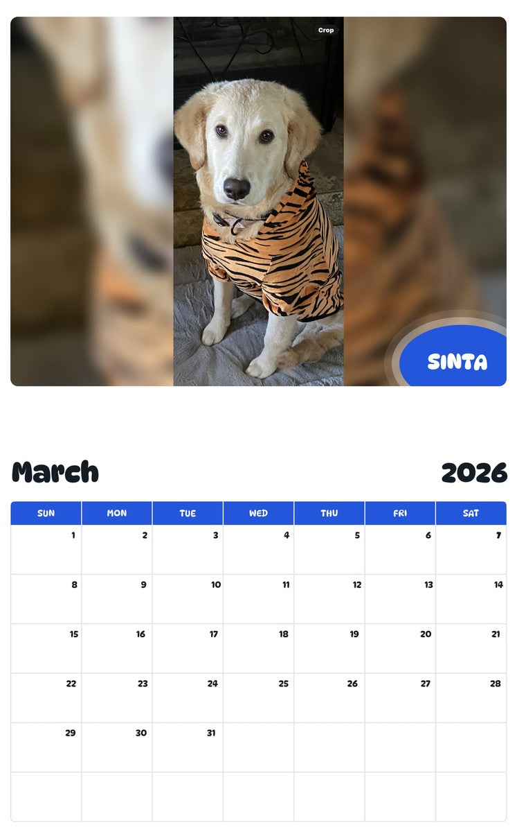 November 2025 - October 2026 SINTA - Pawidols Pet Calendar