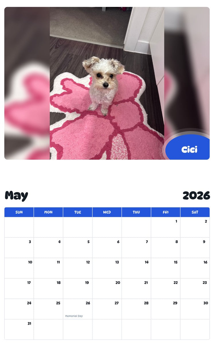 2026 - 2027 Cici - Pawidols Pet Calendar