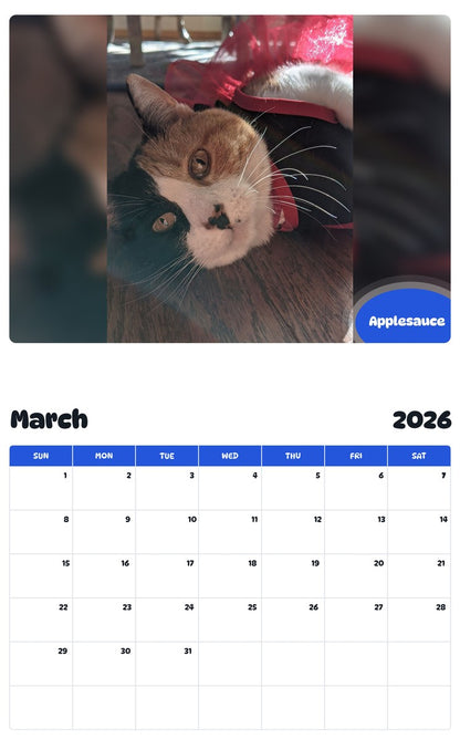 November 2025 - October 2026 Applesauce - Pawidols Pet Calendar