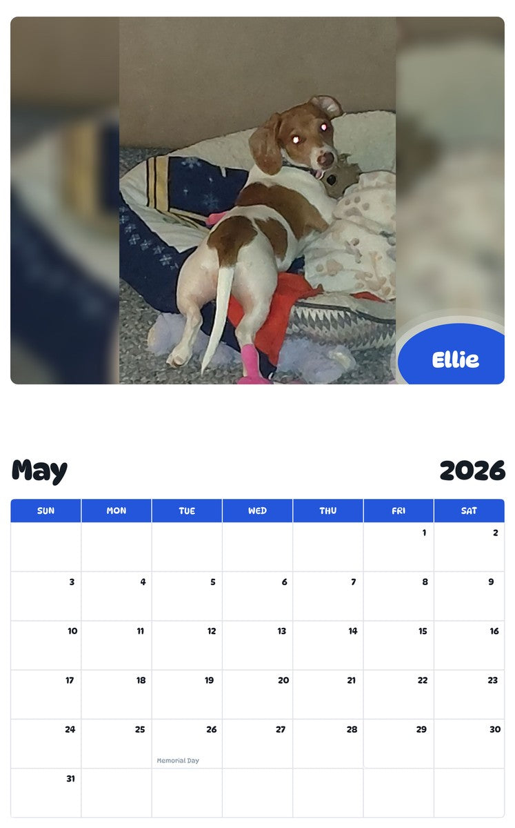2026 - 2027 Ellie - Pawidols Pet Calendar