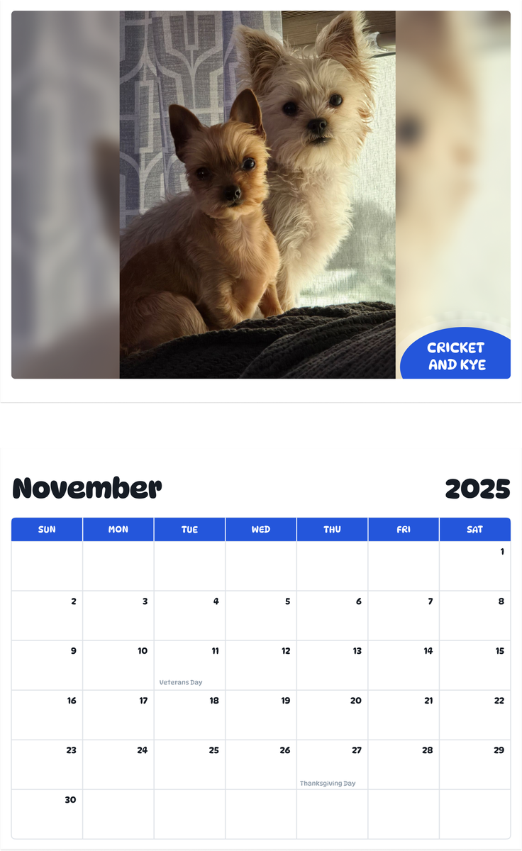 July 2025 - June 2026 Cricket and Kye - Pawidols Pet Calendar