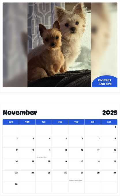 July 2025 - June 2026 Cricket and Kye - Pawidols Pet Calendar