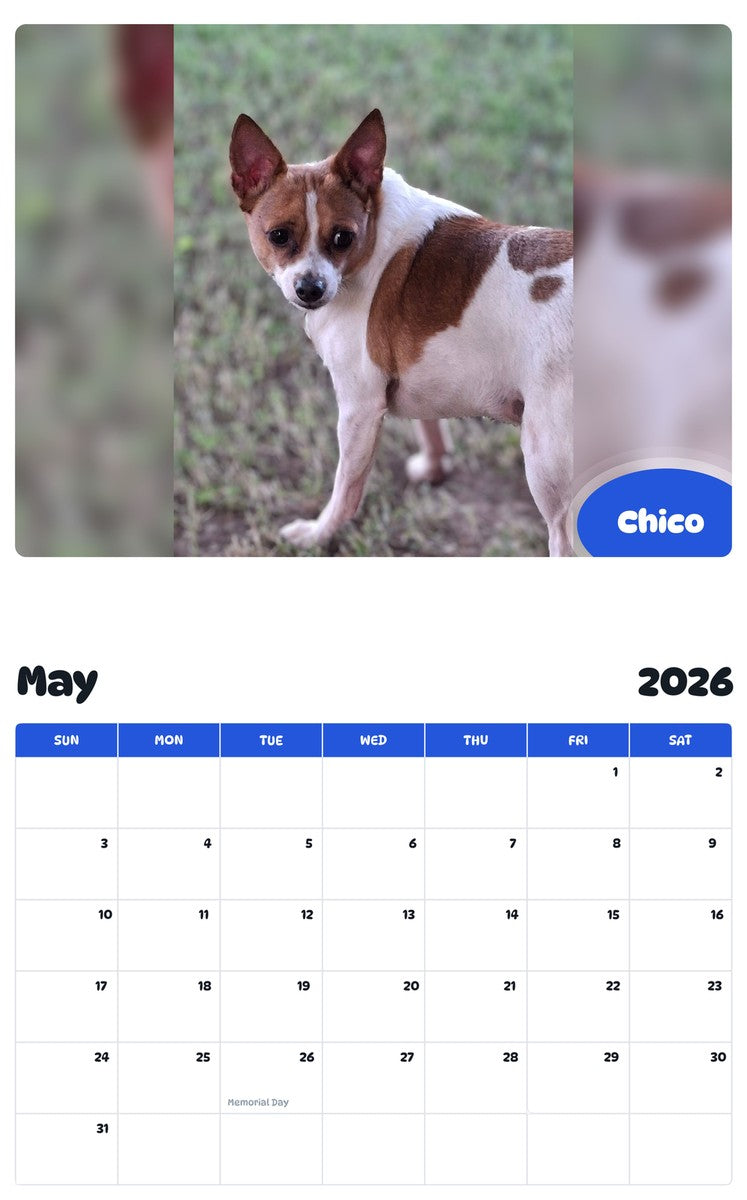 2026 - 2027 Chico - Pawidols Pet Calendar