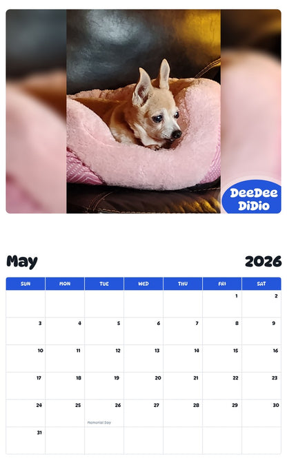 2026 - 2027 DeeDee DiDio - Pawidols Pet Calendar