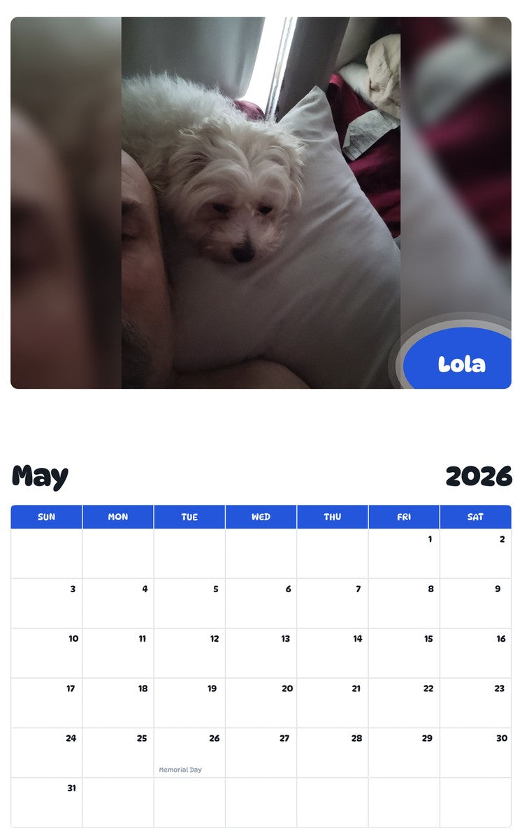 2026 - 2027 Lola - Pawidols Pet Calendar