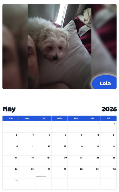 2026 - 2027 Lola - Pawidols Pet Calendar
