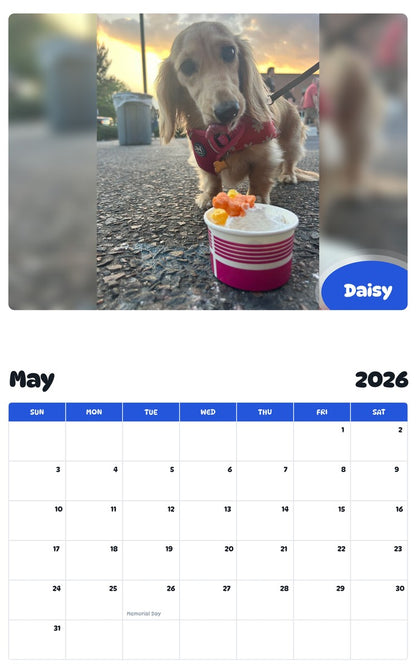 2026 - 2027 Daisy - Pawidols Pet Calendar