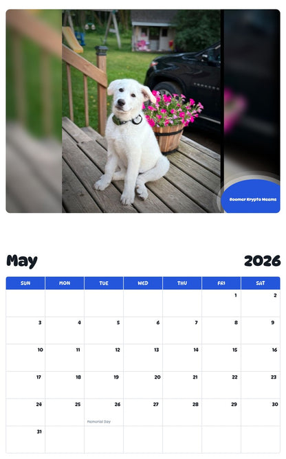 2026 - 2027 Boomer Krypto Weems - Pawidols Pet Calendar