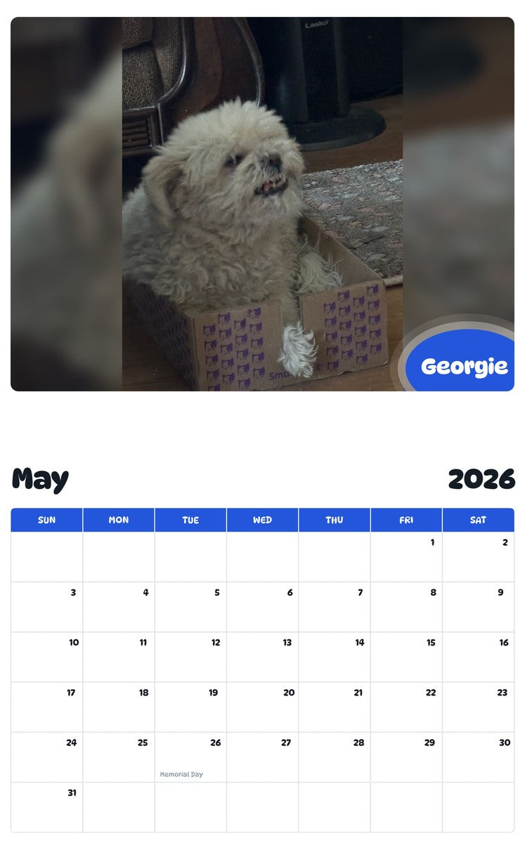 2026 - 2027 Georgie - Pawidols Pet Calendar