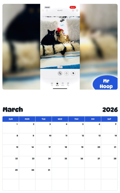 November 2025 - October 2026 Mr Hoop - Pawidols Pet Calendar