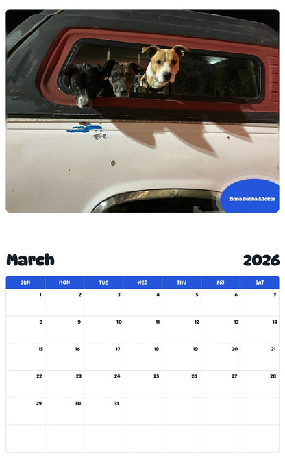 November 2025 - October 2026 Ziona Bubba &Joker - Pawidols Pet Calendar