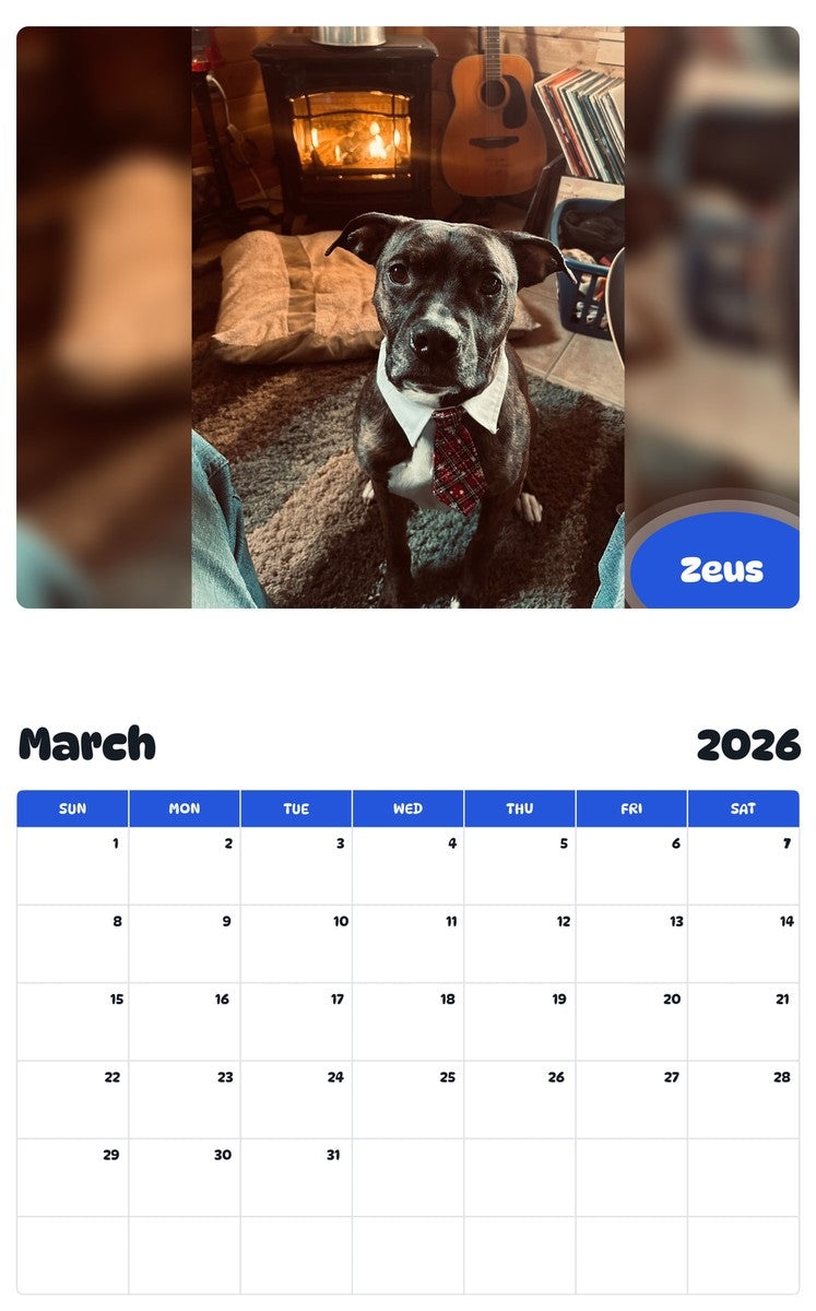 November 2025 - October 2026 Zeus - Pawidols Pet Calendar