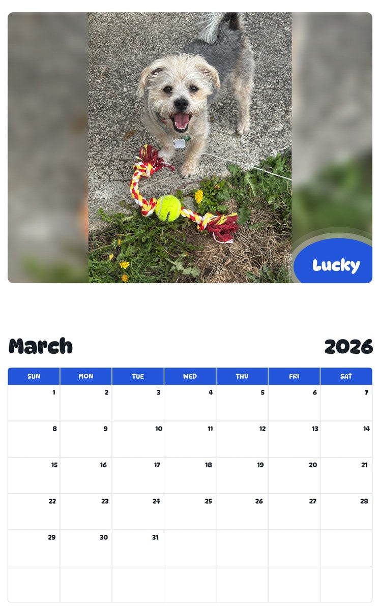 November 2025 - October 2026 Lucky - Pawidols Pet Calendar