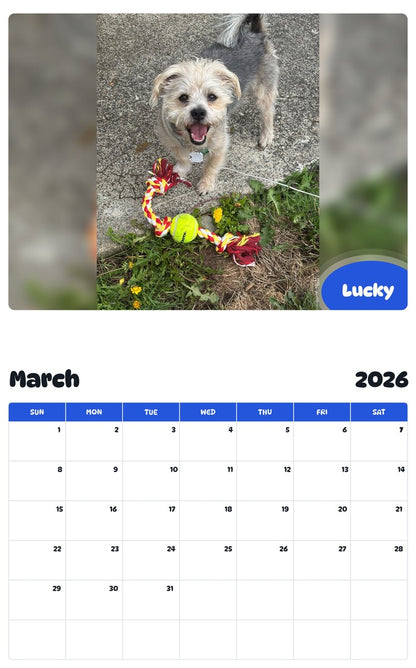 November 2025 - October 2026 Lucky - Pawidols Pet Calendar