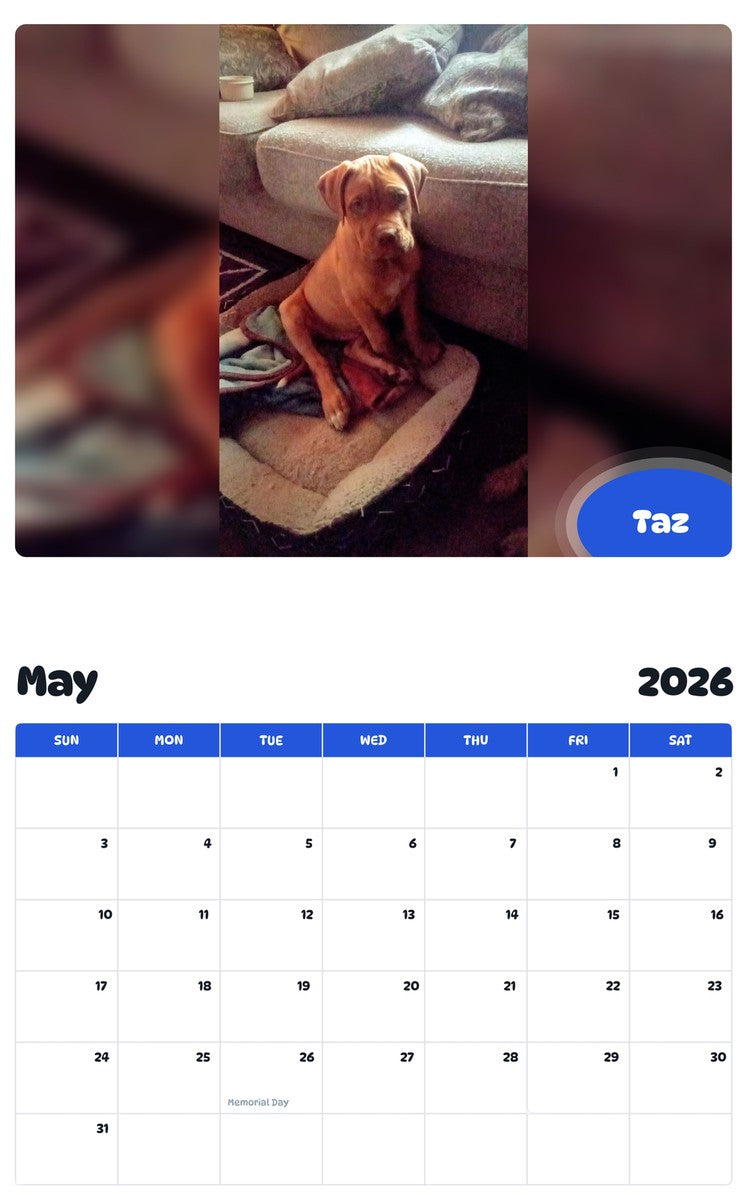 2026 - 2027 Taz - Pawidols Pet Calendar