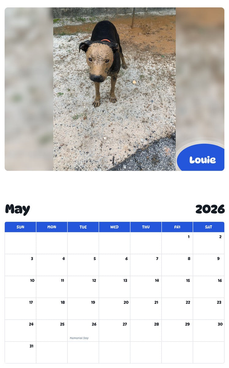 2026 - 2027 Louie - Pawidols Pet Calendar