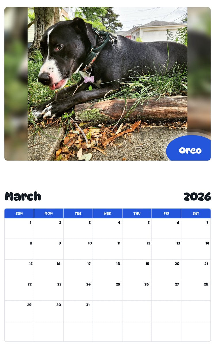 November 2025 - October 2026 Oreo - Pawidols Pet Calendar