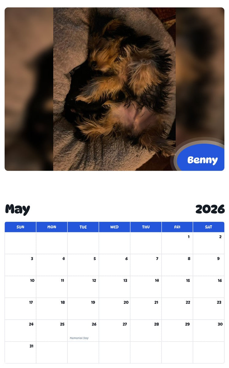 2026 - 2027 Benny - Pawidols Pet Calendar