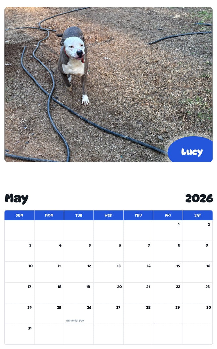 2026 - 2027 Lucy - Pawidols Pet Calendar