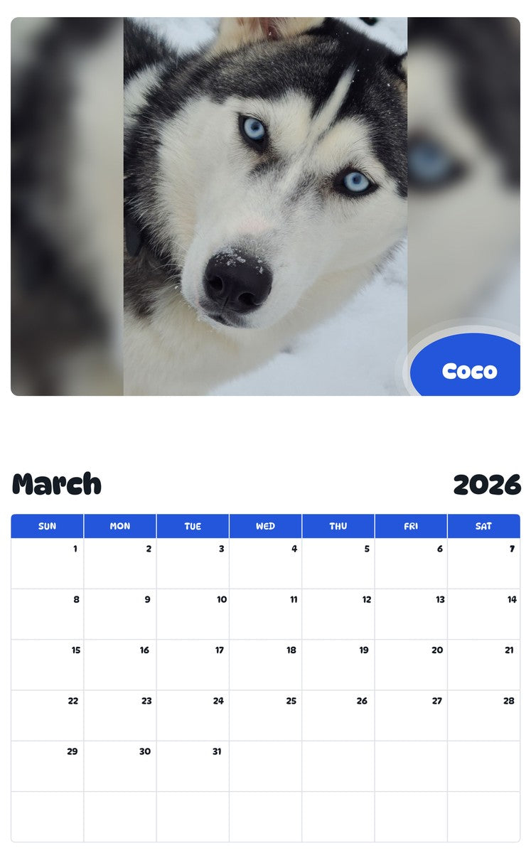 November 2025 - October 2026 Coco - Pawidols Pet Calendar
