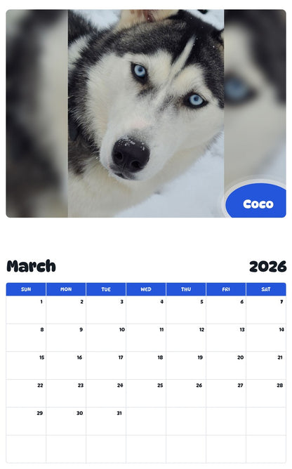November 2025 - October 2026 Coco - Pawidols Pet Calendar