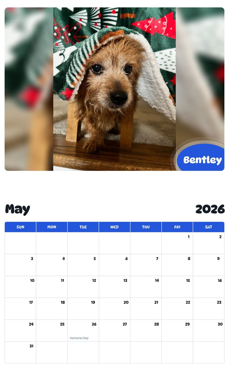 2026 - 2027 Bentley - Pawidols Pet Calendar