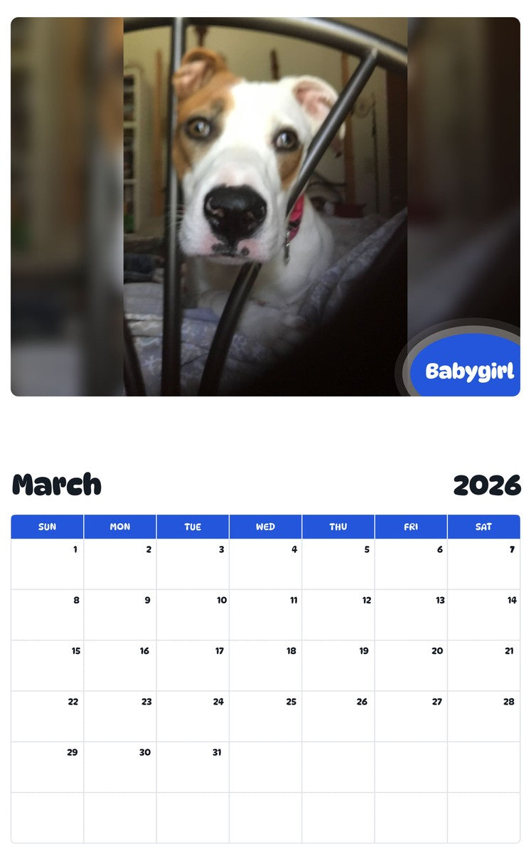 November 2025 - October 2026 Babygirl - Pawidols Pet Calendar
