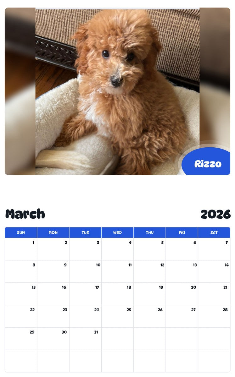 November 2025 - October 2026 Rizzo - Pawidols Pet Calendar