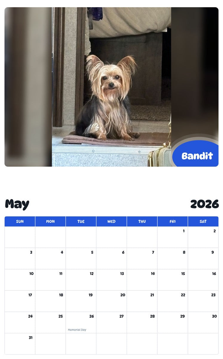 2026 - 2027 Bandit - Pawidols Pet Calendar