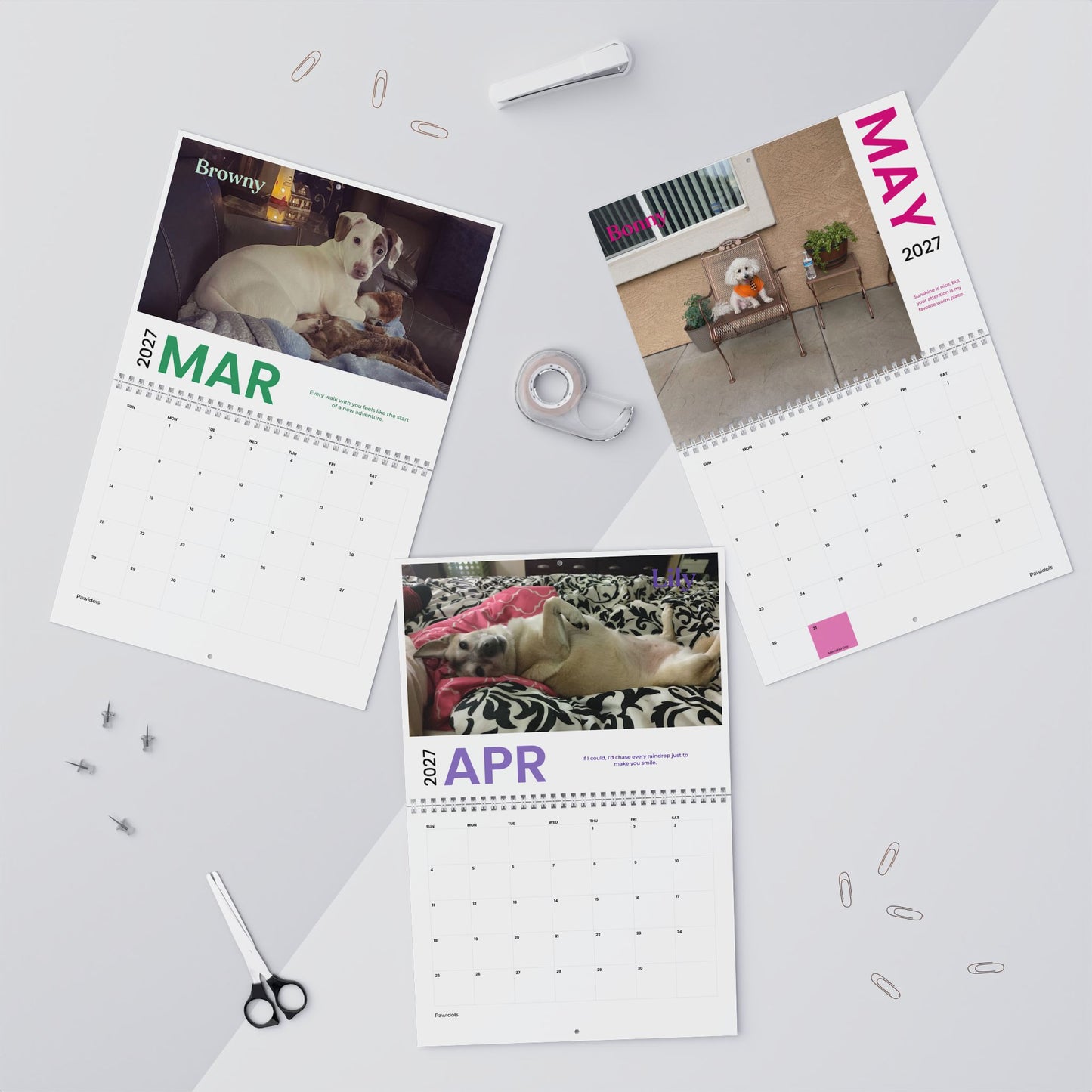 NEW Paw Calendar DOG September 2026 - August 2027