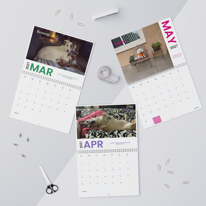 NEW Paw Calendar DOG September 2026 - August 2027