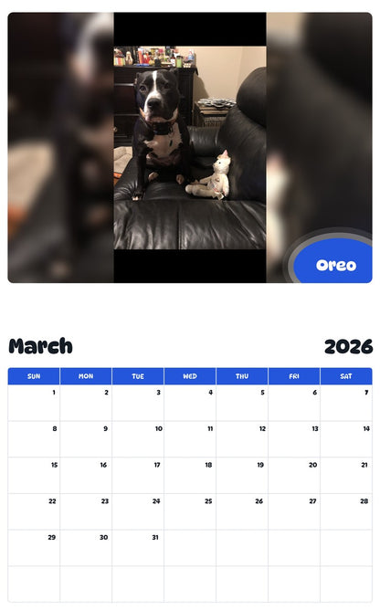 November 2025 - October 2026 Oreo - Pawidols Pet Calendar