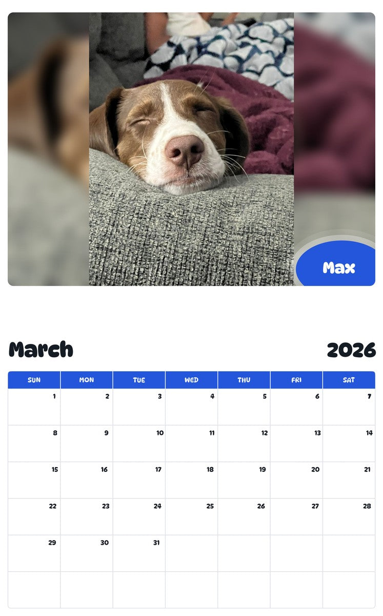 November 2025 - October 2026 Max - Pawidols Pet Calendar